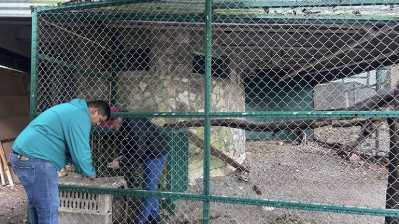 Por onda gélida, permanecerán cerrados parques de la Comisión