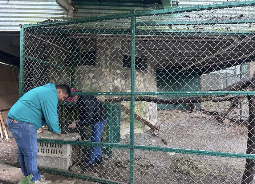 Por onda gélida, permanecerán cerrados parques de la Comisión