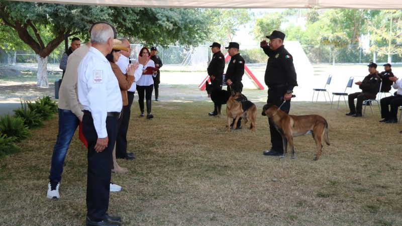 SSPT despide con honores a caninos retirados del servicio activo