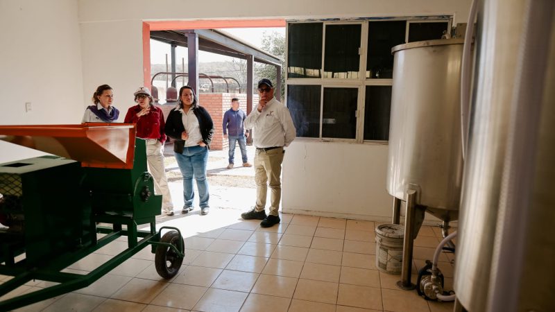 Economía, Bienestar e ITCA promoverán industria del mezcal en San Carlos