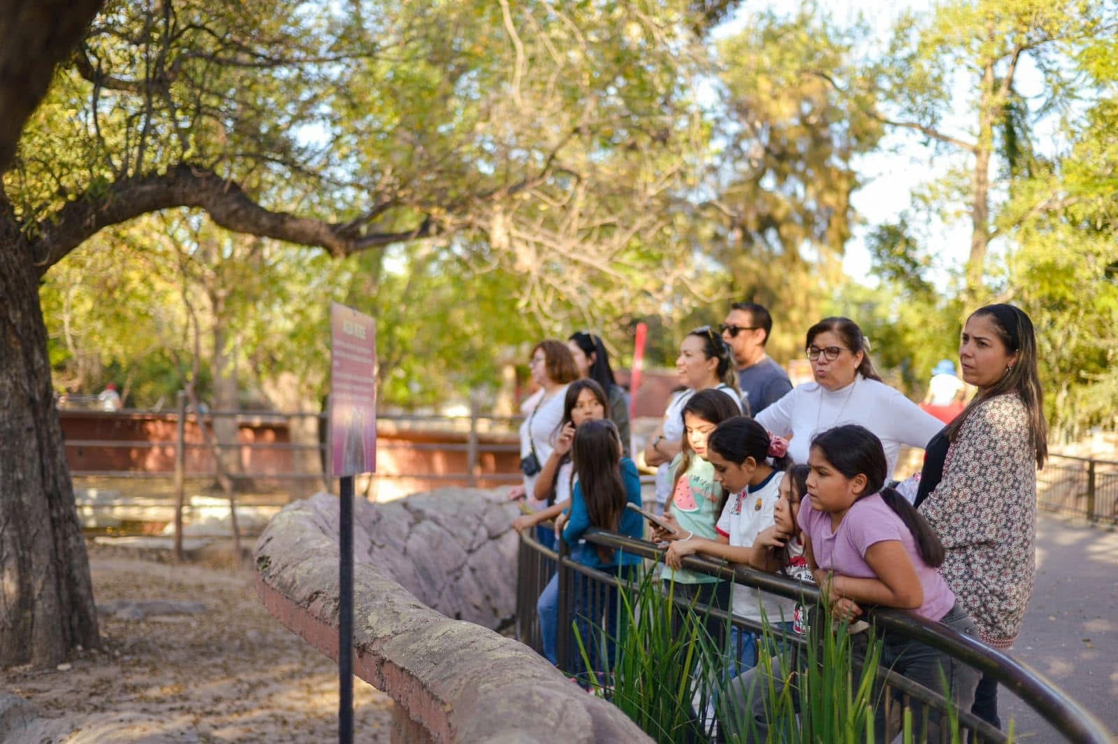 Incrementa el aforo de visitantes al Zoológico Tamatán y al Tamux