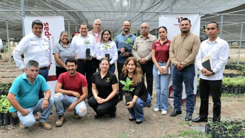 Promueven Gobierno del Estado y Congreso de Tamaulipas reforestación ambiental