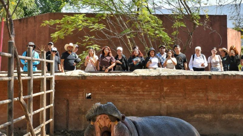 Refuerzan estudiantes conocimientos sobre la fauna en el Zoológico Tamatán