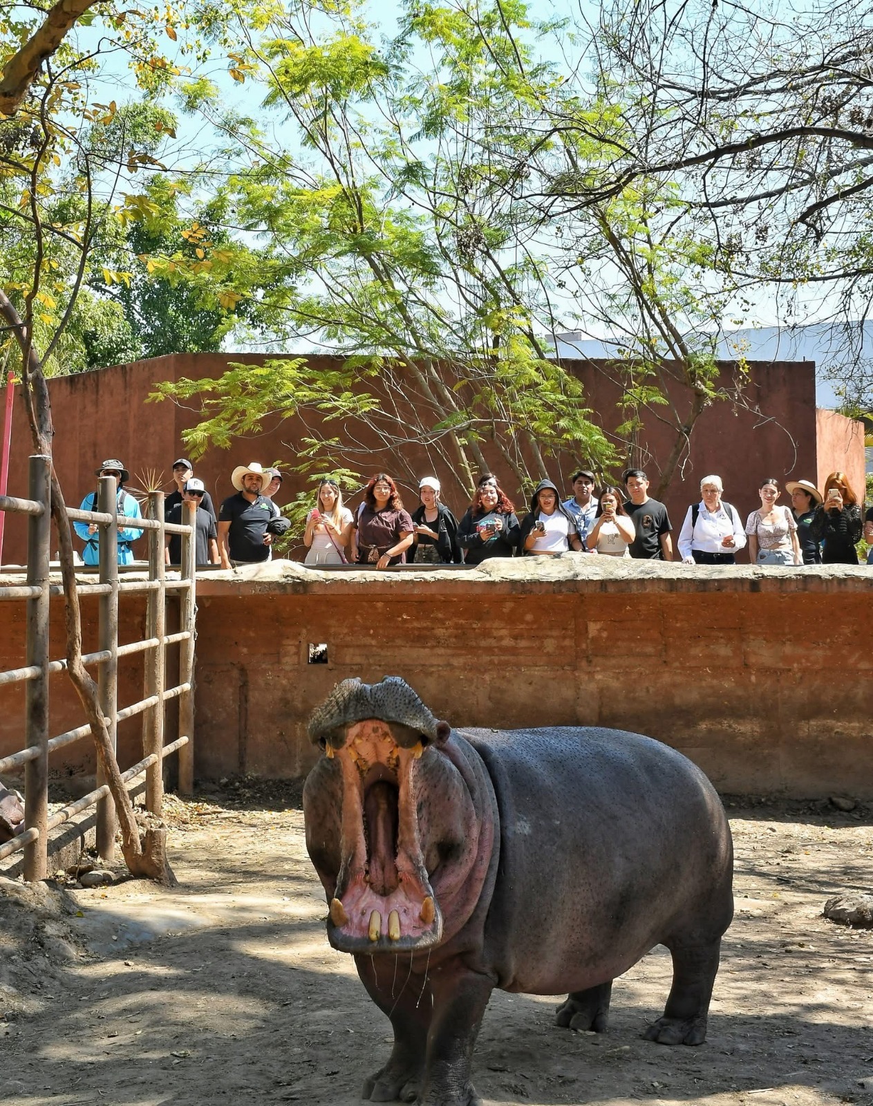 Refuerzan estudiantes conocimientos sobre la fauna en el Zoológico Tamatán