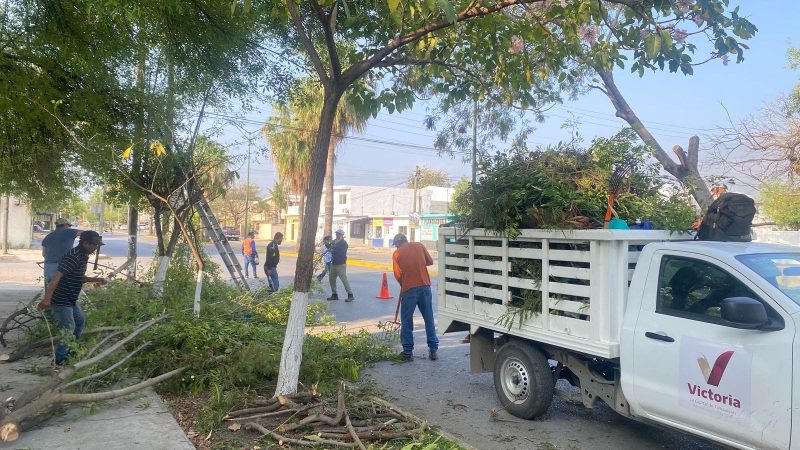 Fortalece municipio limpia y mantenimiento de vialidades y áreas verdes