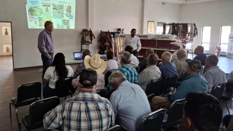 Refuerza Tamaulipas acciones de sanidad animal ante declaratoria de zona libre del gusano barrenador