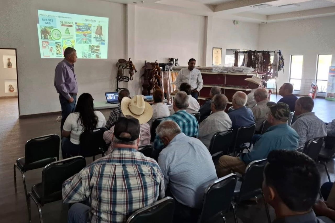 Refuerza Tamaulipas acciones de sanidad animal ante declaratoria de zona libre del gusano barrenador