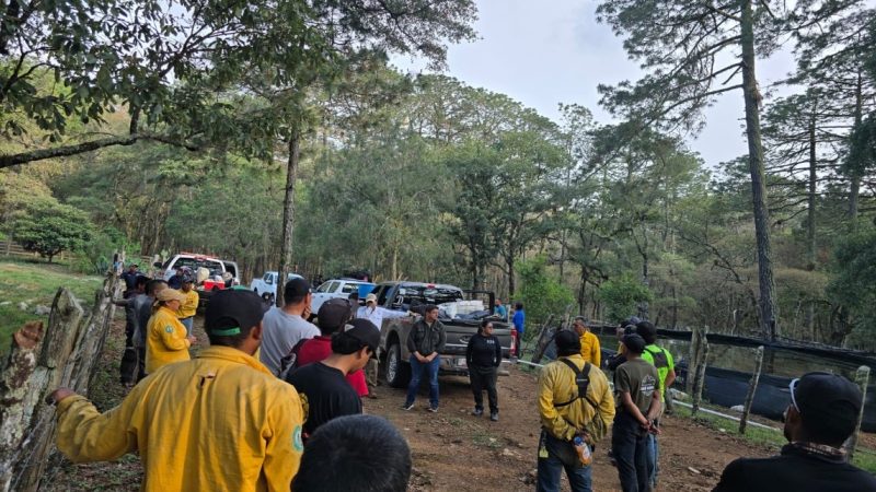 Coordinan acciones para el control del incendio forestal en Reserva de la Biosfera El Cielo