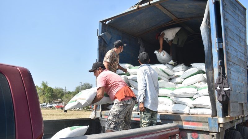 Abren ventanillas para el programa de fertilizante a citricultores