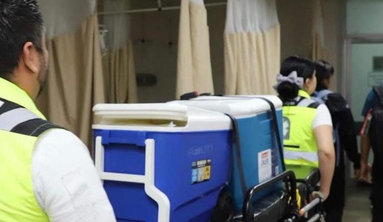 Aumenta donación y transplantes de órganos en Tamaulipas, dando esperanza de vida a 300 personas