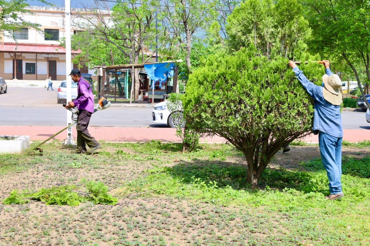 Intenso trabajo de rehabilitación y limpieza de calles y avenidas en la ciudad