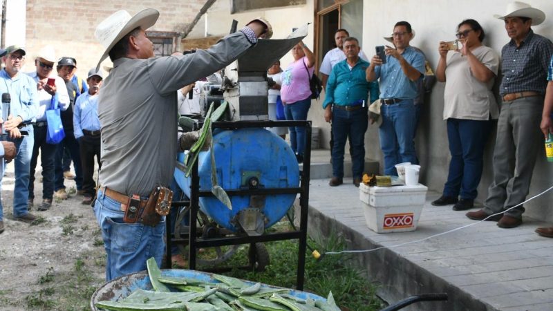 Promueven el uso del nopal como estrategia alimentaria sustentable