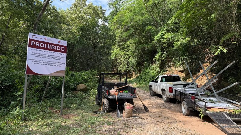 Coordinan estrategia de protección ecológica en Altas Cumbres y Los Troncones